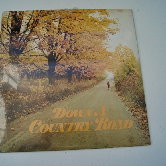 Country Vinyl LP Lot of 4 NOS New Old Stock - Country Superstars -Down A Country - Picture 4 of 6